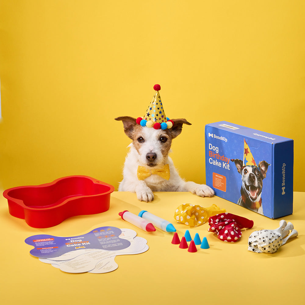 Dog cake kit hotsell