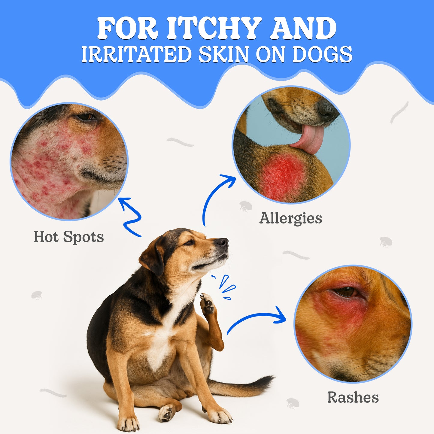 Anti-Itch Dog Soap Bars (2 Pack) – All-Natural Shampoo with Tea Tree, Lavender & Eucalyptus Oils – 100g each/3.5oz