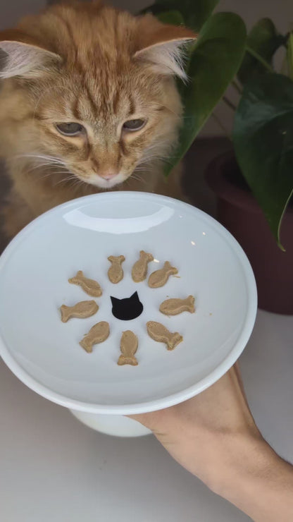 BoneItUp® Cat Edition Homemade Treats Kit